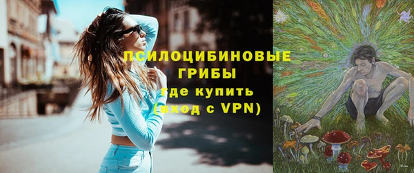 ешки Протвино