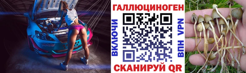 купить наркотик  Солнечногорск  Псилоцибиновые грибы Magic Shrooms 