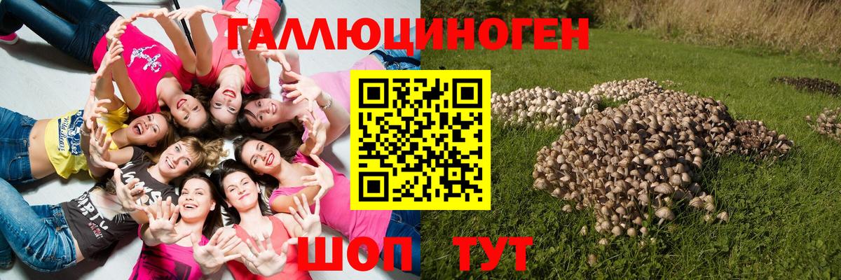 Галлюциногенные грибы прущие грибы Солнечногорск